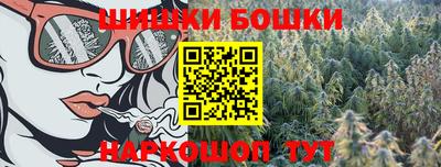 твердый Будённовск